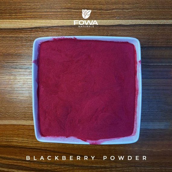 BLACKBERRY FRUIT POWDER