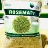 ROSEMARY HERB