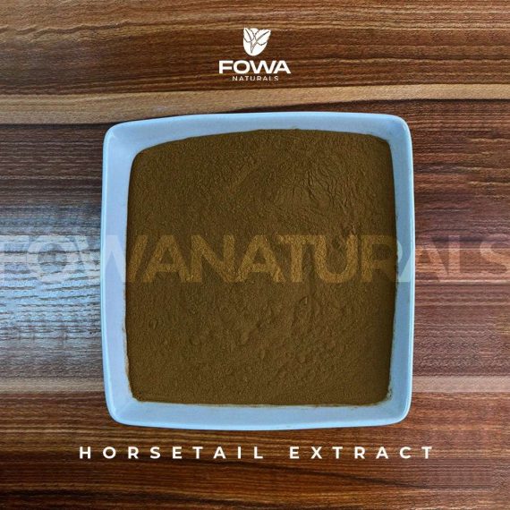 HORSETAIL EXTRACT