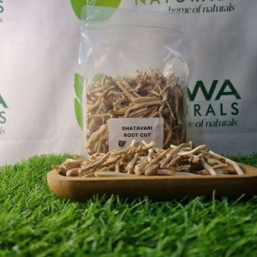 SHATAVARI ROOT CUT