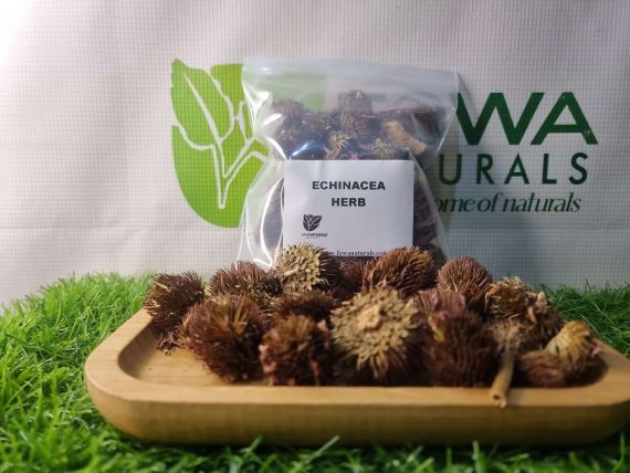 ECHINACEA HERB