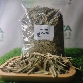 OLIVE LEAVES